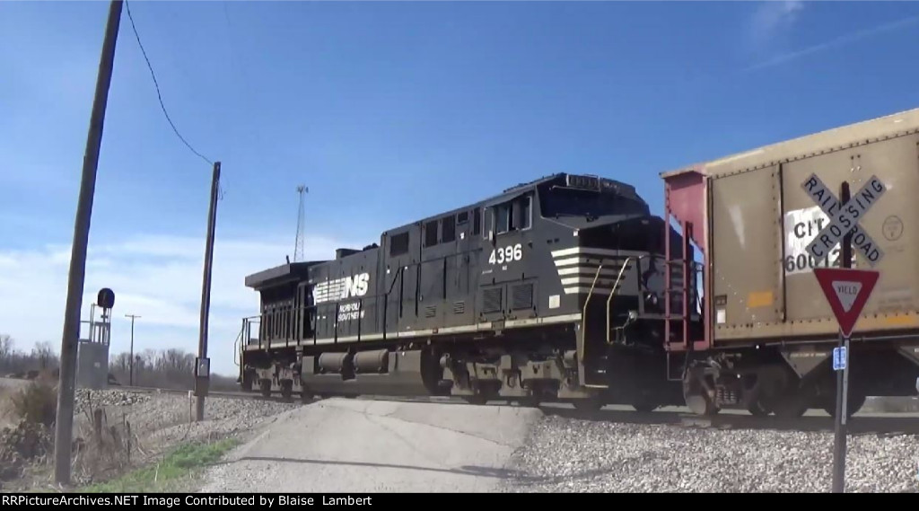 NS thoroughbred C6M